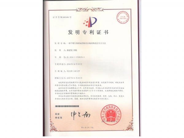 專(zhuān)利